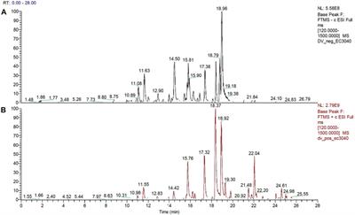 Dodonaea viscosa Jacq. induces cytotoxicity, antiproliferative activity, and cell death in colorectal cancer cells via regulation of caspase 3 and p53